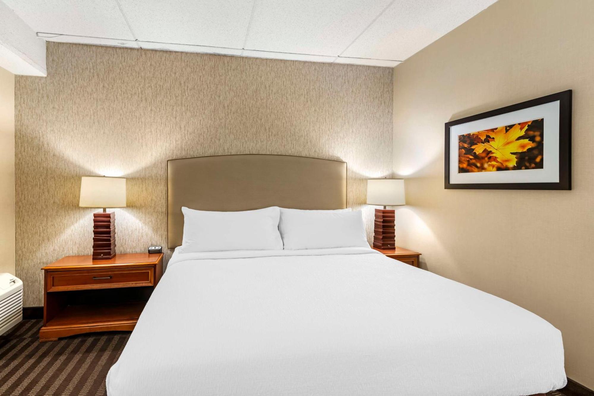 Best Western Springfield Hotel Ngoại thất bức ảnh